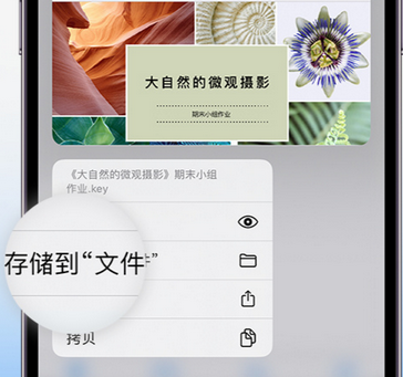 海城apple维修中心分享iPhone文件应用中存储和找到下载文件