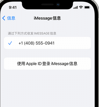 海城apple维修iPhone上无法正常发送iMessage信息 