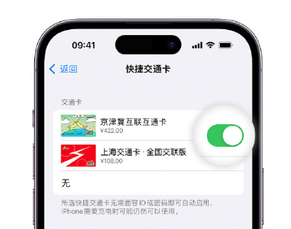 海城apple维修点分享iPhone上更换Apple Pay快捷交通卡手绘卡面 