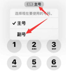 海城苹果14维修店分享iPhone 14 Pro Max使用副卡打电话的方法 