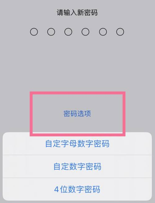 海城苹果14维修分享iPhone 14plus设置密码的方法 