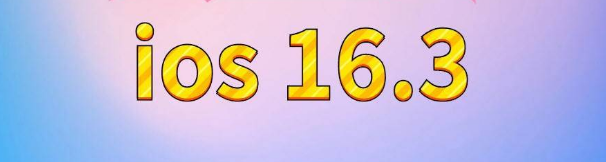 海城苹果服务网点分享苹果iOS16.3升级反馈汇总 