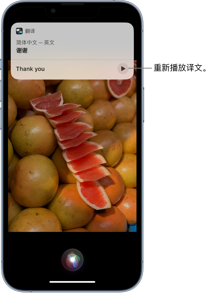 海城苹果14维修分享 iPhone 14 机型中使用 Siri：了解 Siri 能帮你做什么 