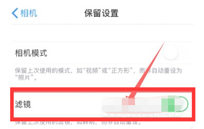 海城苹果13维修分享iPhone13拍照有绿点是怎么回事 
