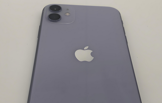海城苹果11系统维修分享iPhone11手机系统崩溃无法开机如何解决